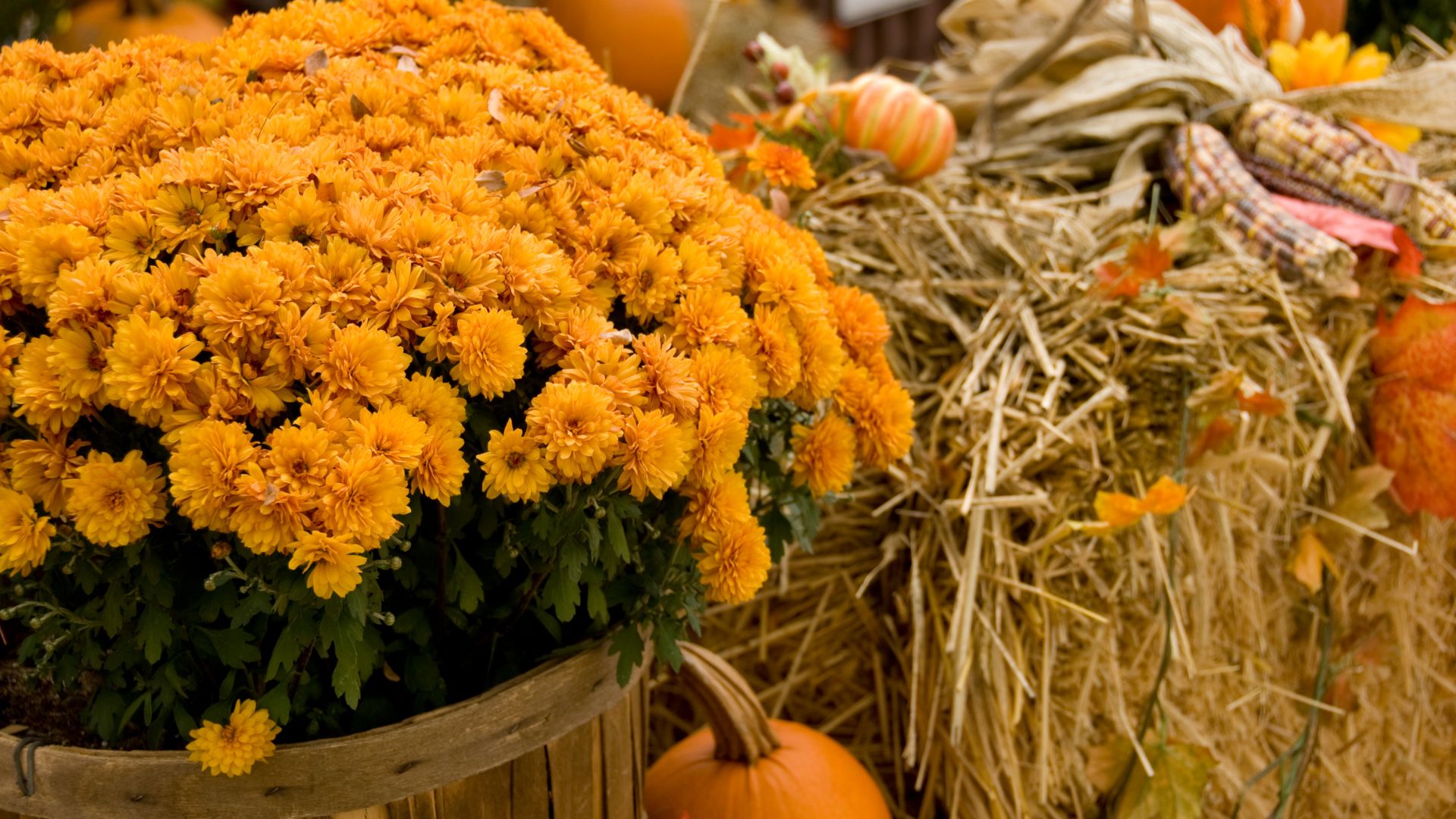 fall market events in the Okanagan